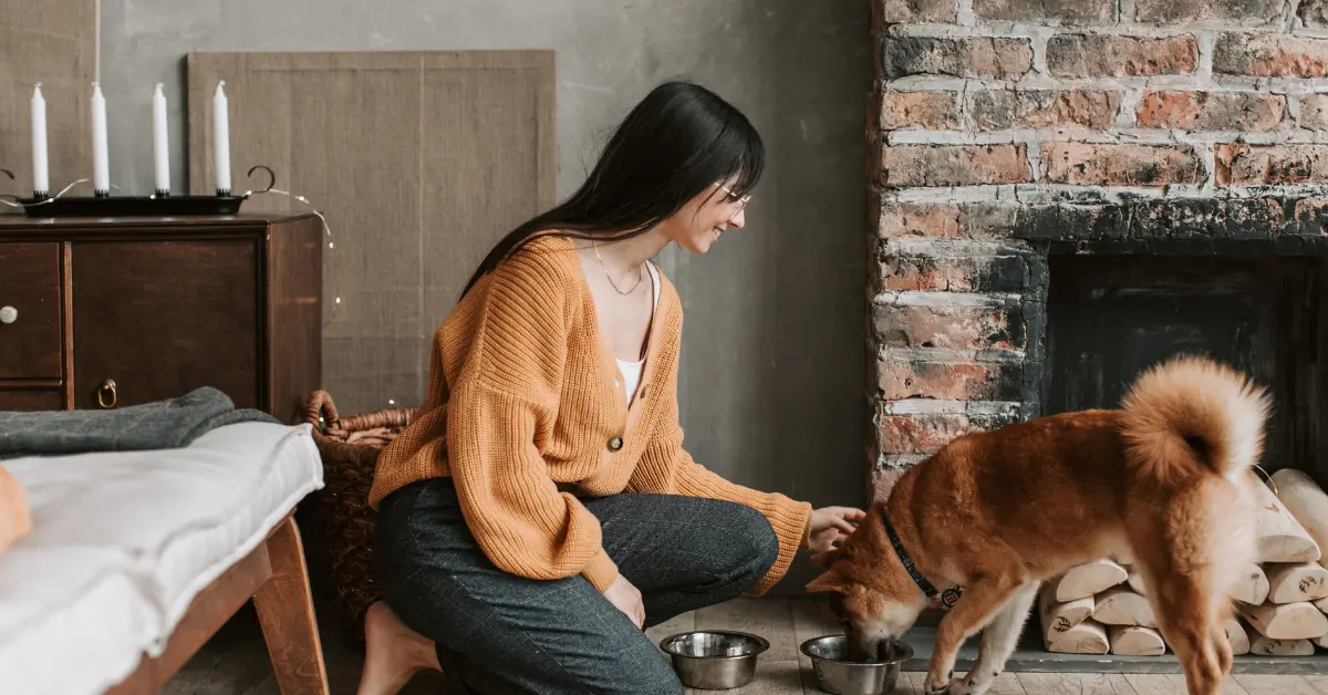 Can Pets Help Support Recovery
