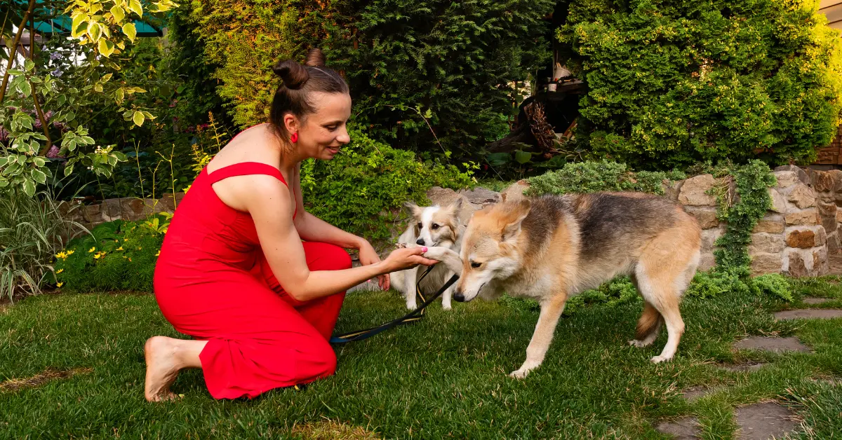 Why Caring for Something Else Can Help Rebuild Confidence