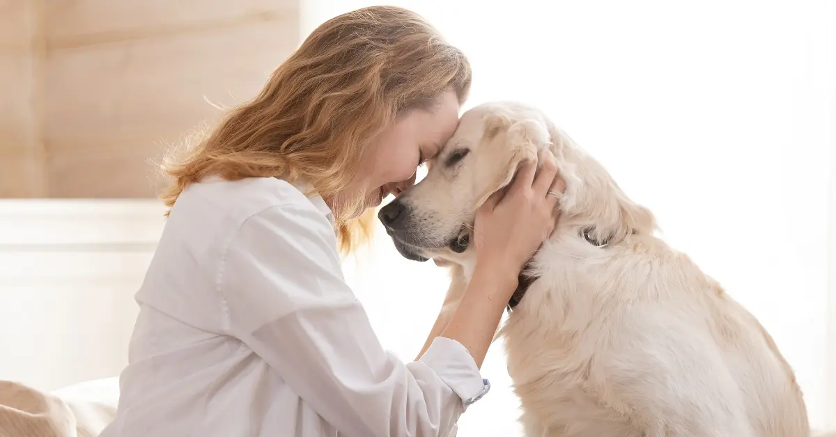 Why Companionship Can Matter During Recovery